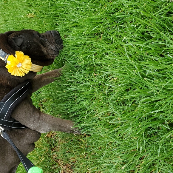 Meet your Posher, Jamie - Picture 6 of 6